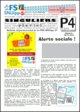 Fichier : Singuliers-Pluriel n°126