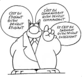 Logo de la rubrique