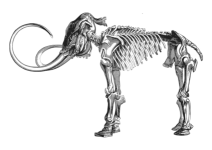Logo de la rubrique