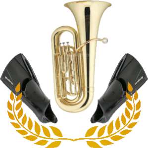 Logo de l'article